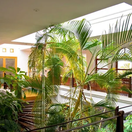 Oasis